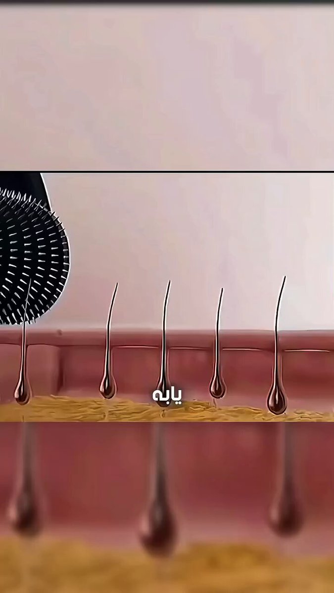 الدرما رولر ، سر البشرة الشبابية 