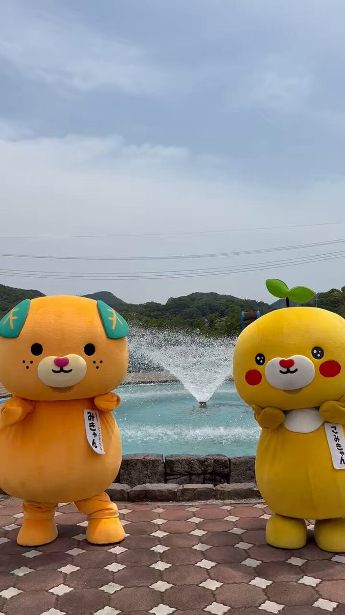 みきゃん様 みきゃん【公式】《愛媛県イメージアップキャラクター