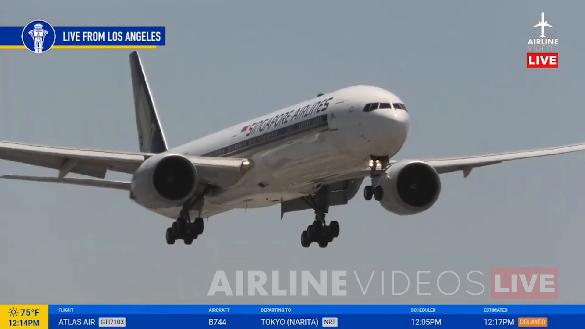 【アン アン】 AIRLINE VIDEOS on X: 