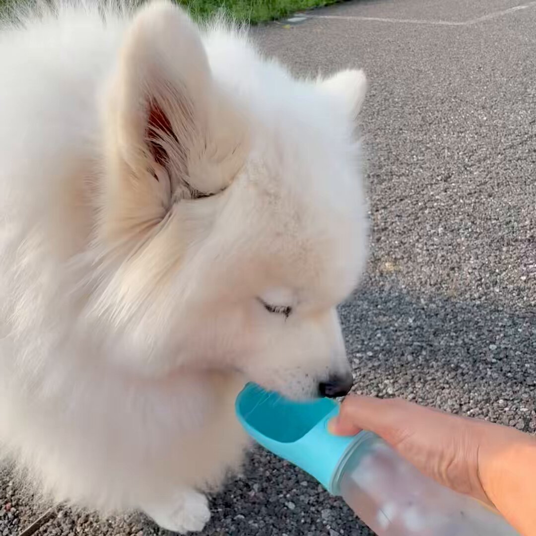 Samoyed サモエド ウールコート