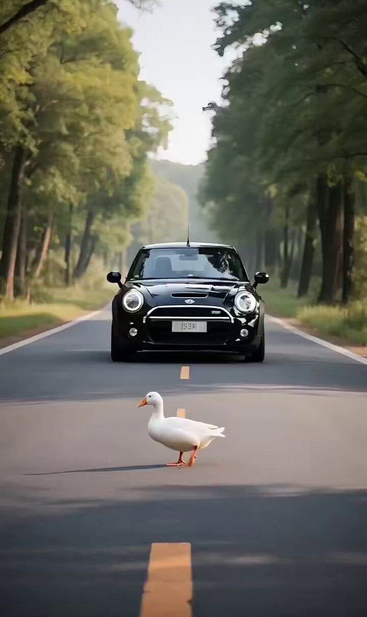 媒体预览