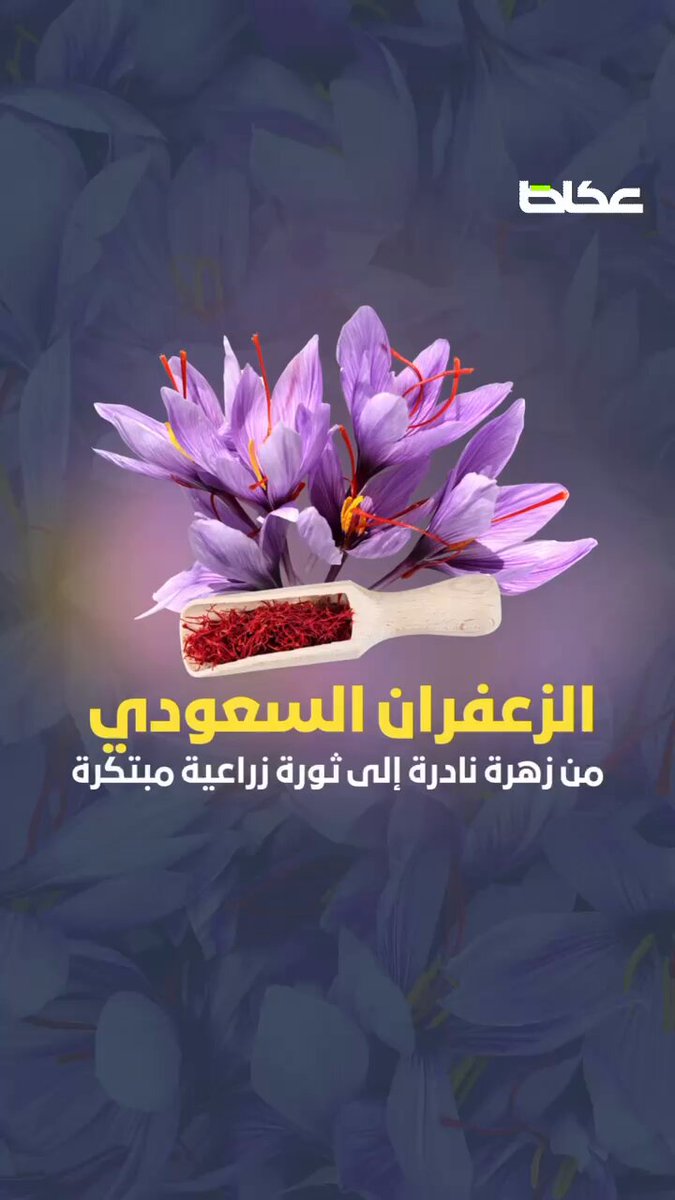 فيديو | الزعفران السعودي.. قصة تحول سعودي طموح من الاستيراد وصولًا للإنتاج. رنيم بن عسكر 
