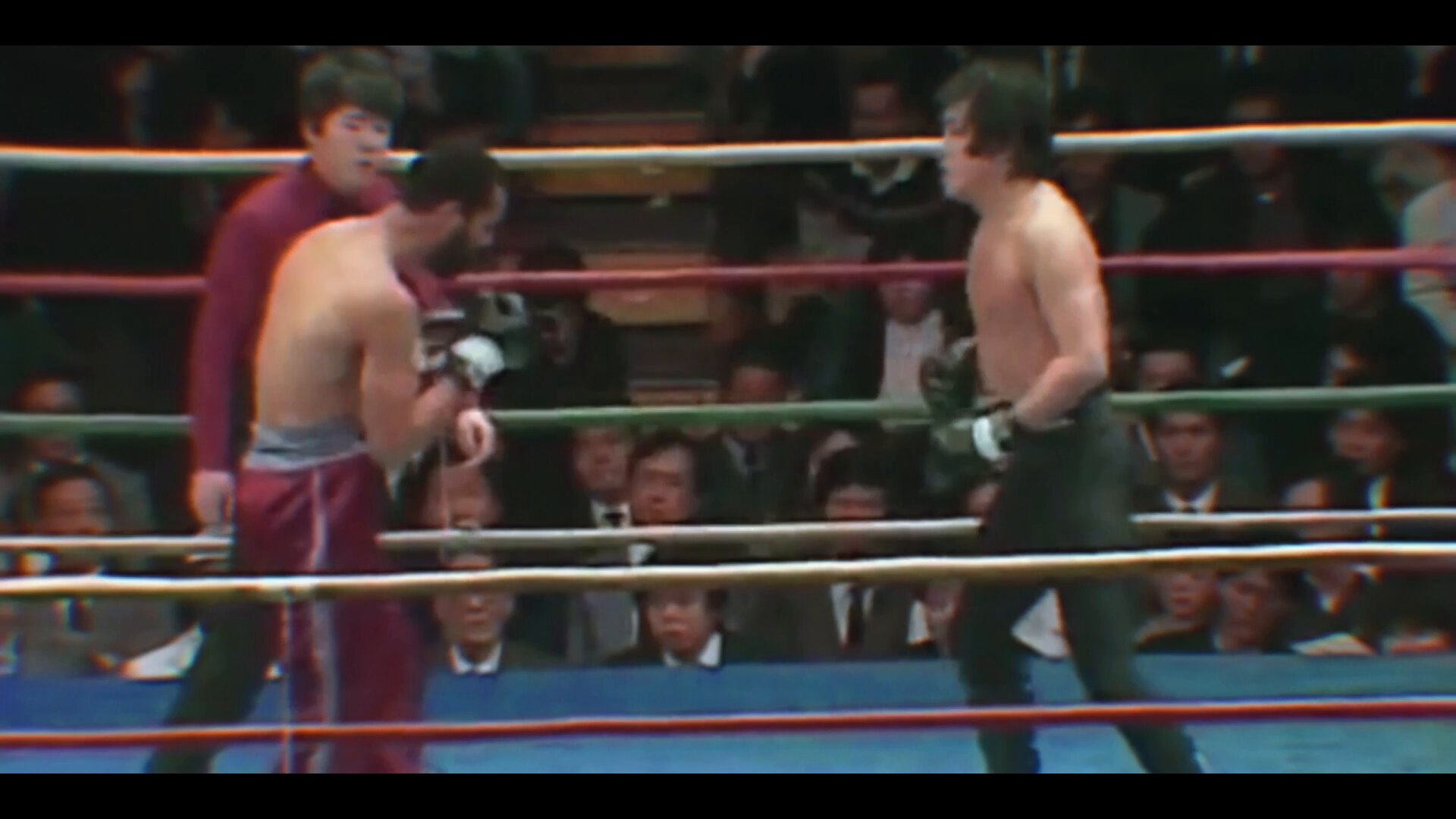 SHOOT BOXING｜シュートボクシング【公式】 on X: 
