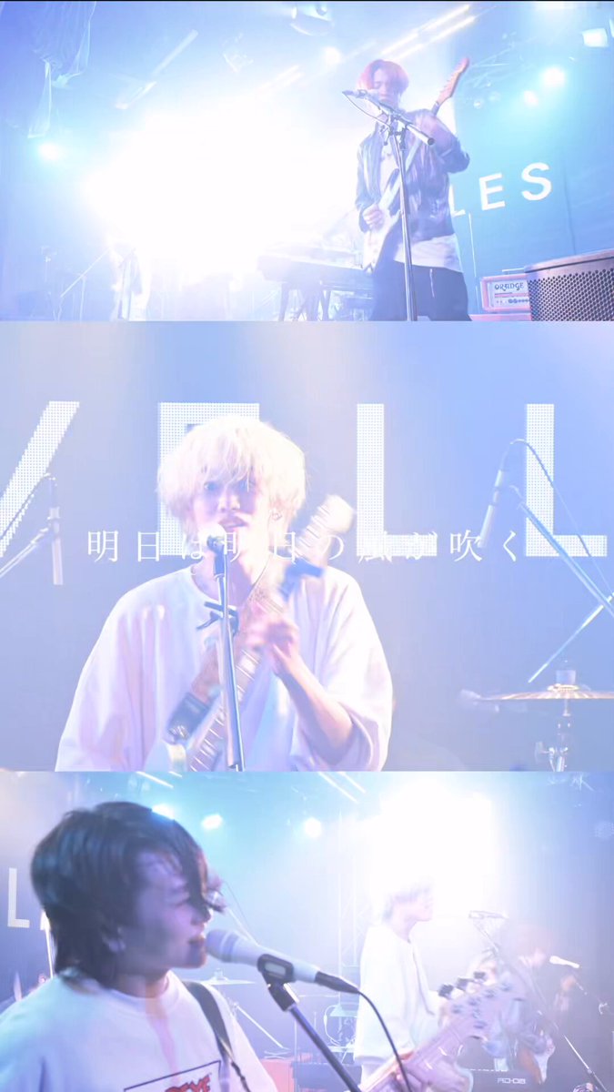 CAT'S Factory AT-222 14-24 [AKIRA TAKASAKI x CAT'S FACTORY