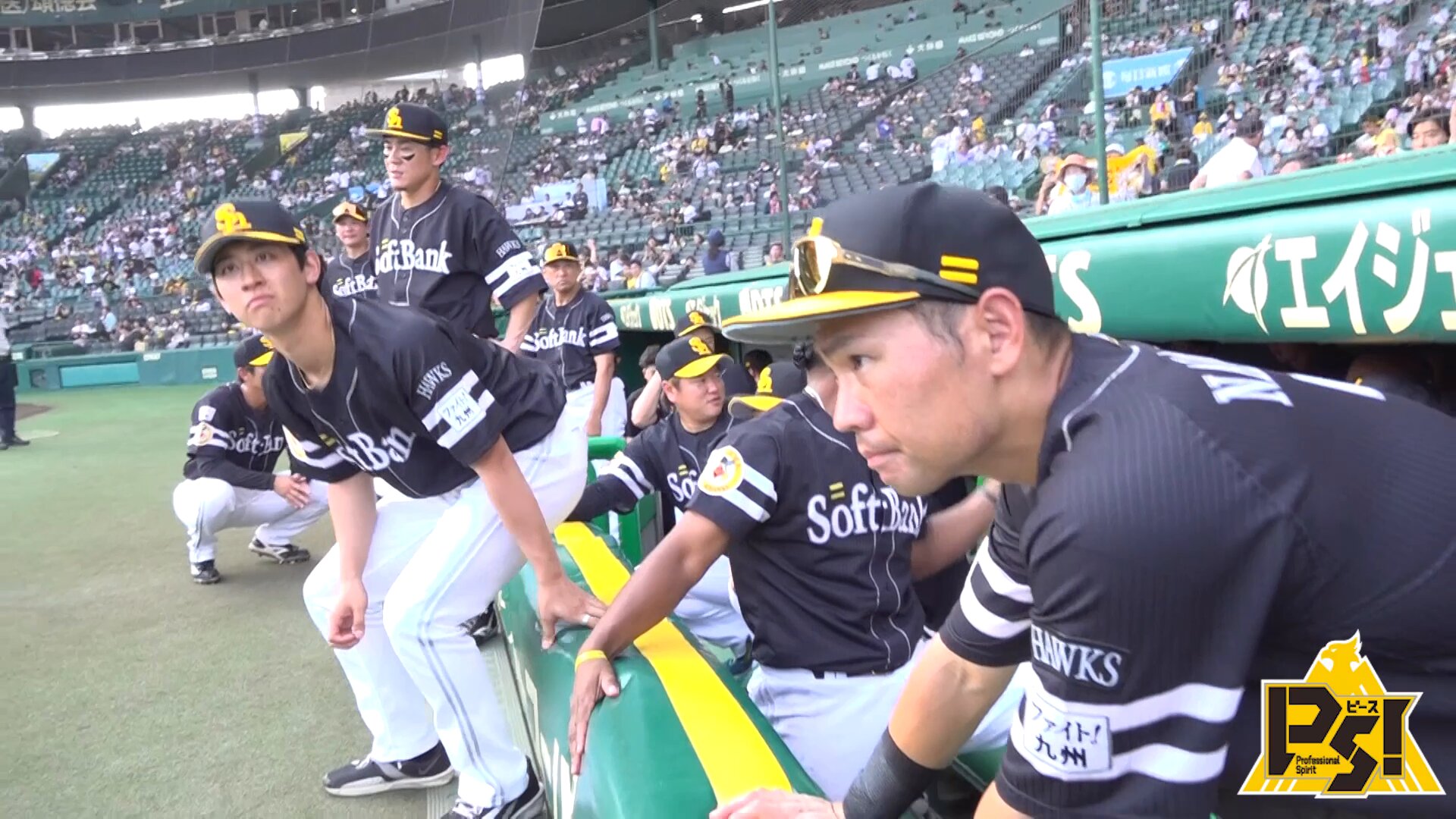 福岡ソフトバンクホークス