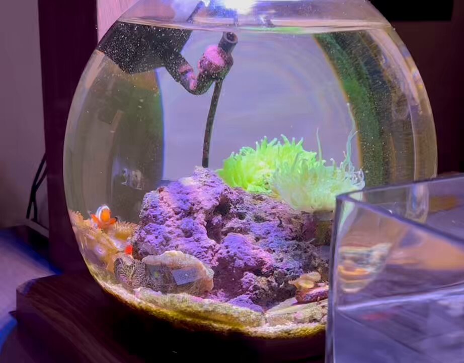 ぽんちゃん様専用】夏のサンプラー 波・海・貝殻 サモイロフ