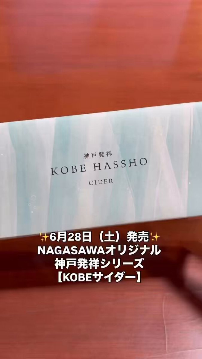 NAGASAWA KOBEサイダー オリジナル万年筆 #3776 センチュリー NAGASAWA KOBEサイダー オリジナル万年筆 #3776 センチュリー