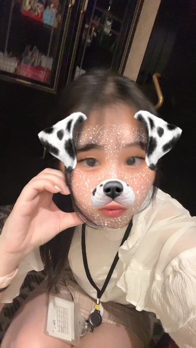 わんわんカフェバーのツイート