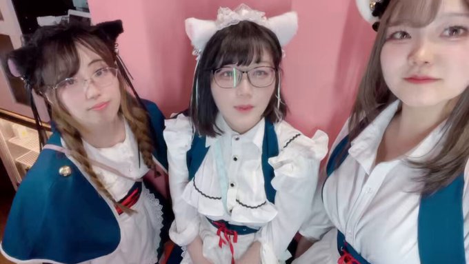 みけねこカフェ秋葉原店のツイート