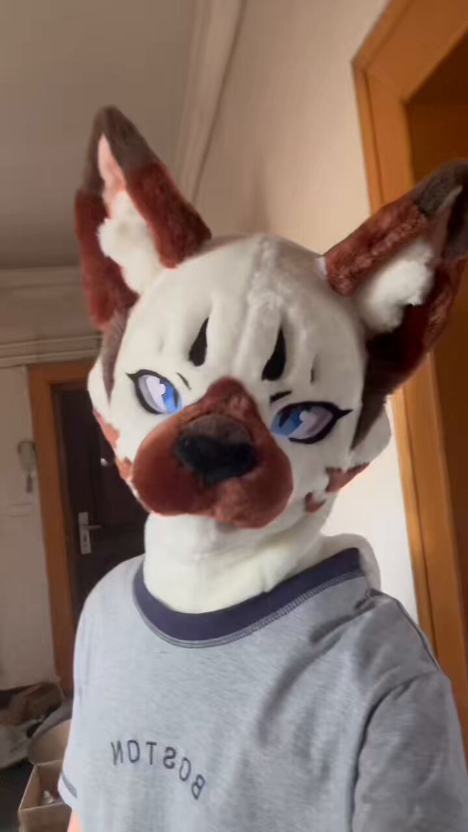 Chigui (@reddemon2333) / X