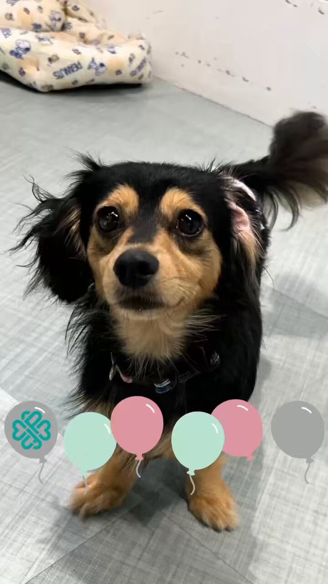 ﾁﾜｯｸｽ - Search / X