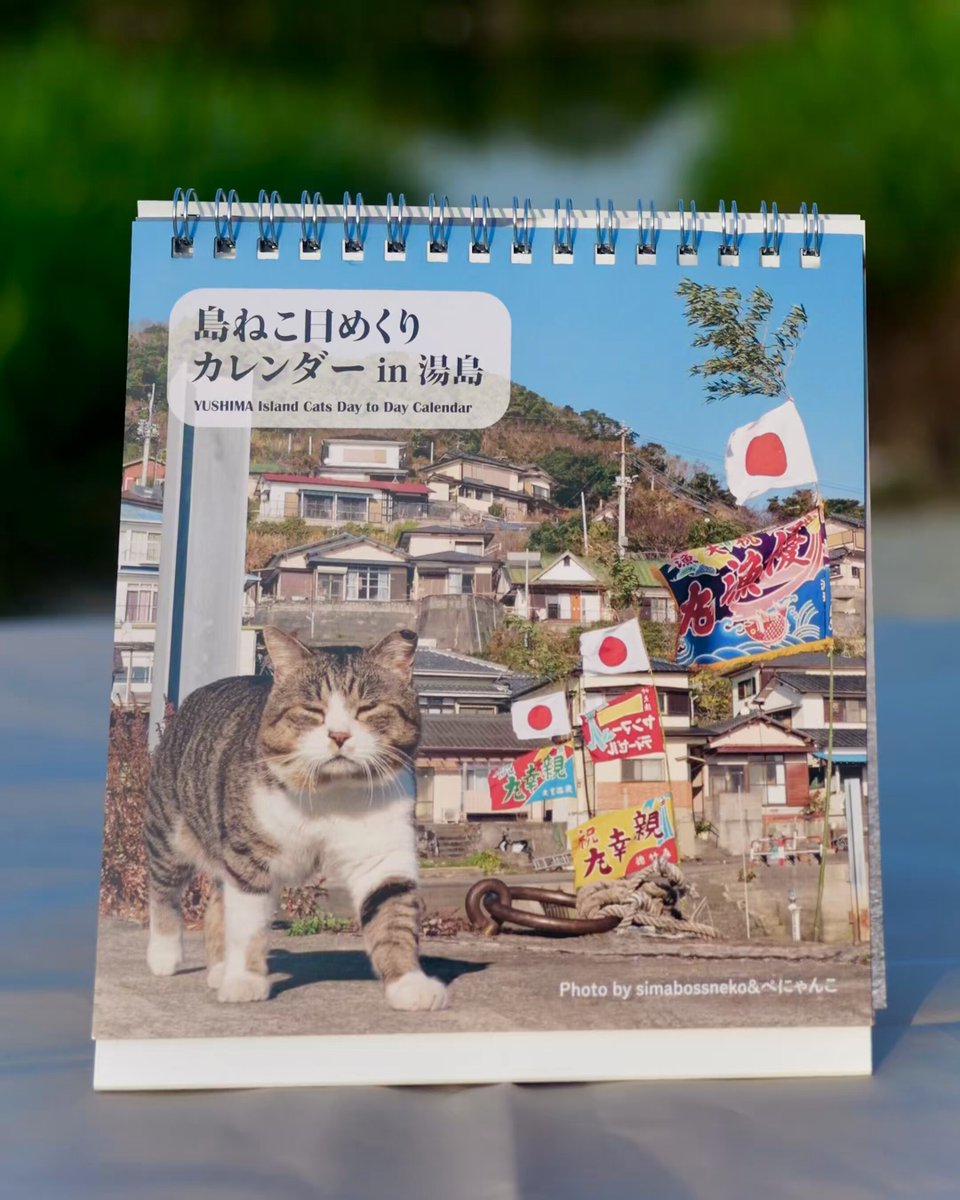 にゃんこ島 にゃんこ sddefault.jpg