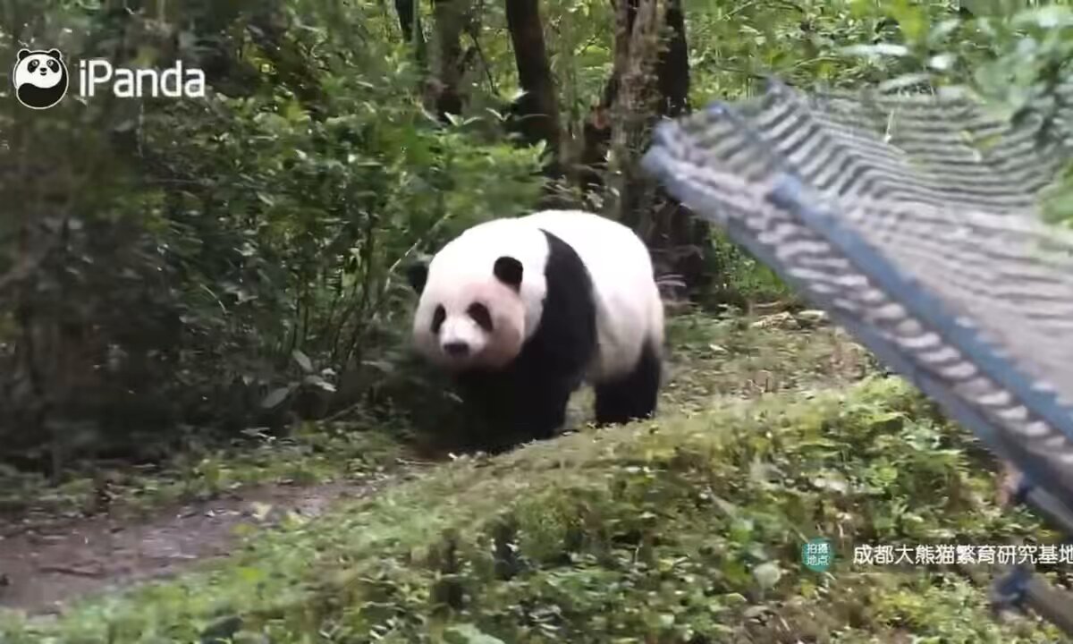 あちな* on X: 