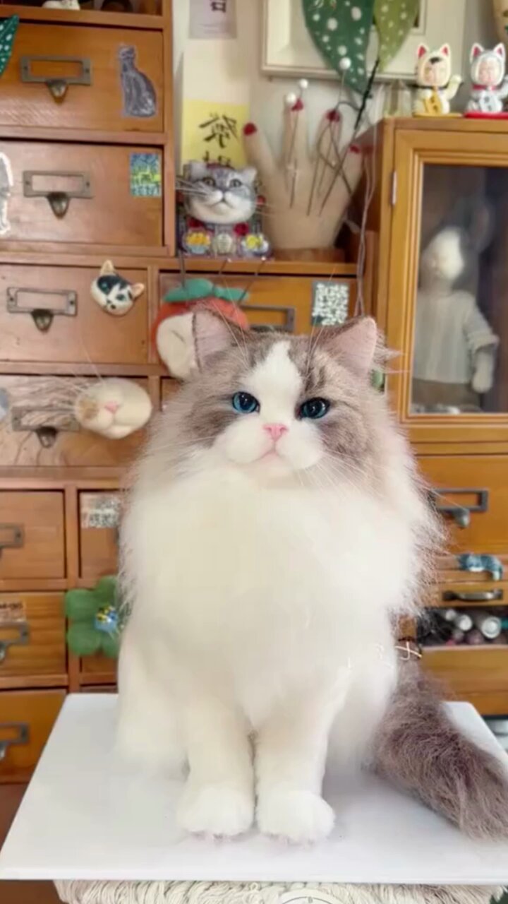 HandmadeCat - Search / X