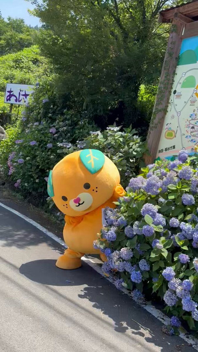 人気のクリスマスアイテムがいっぱい！ みきゃん【公式】《愛媛県イメージアップキャラクター アイケア