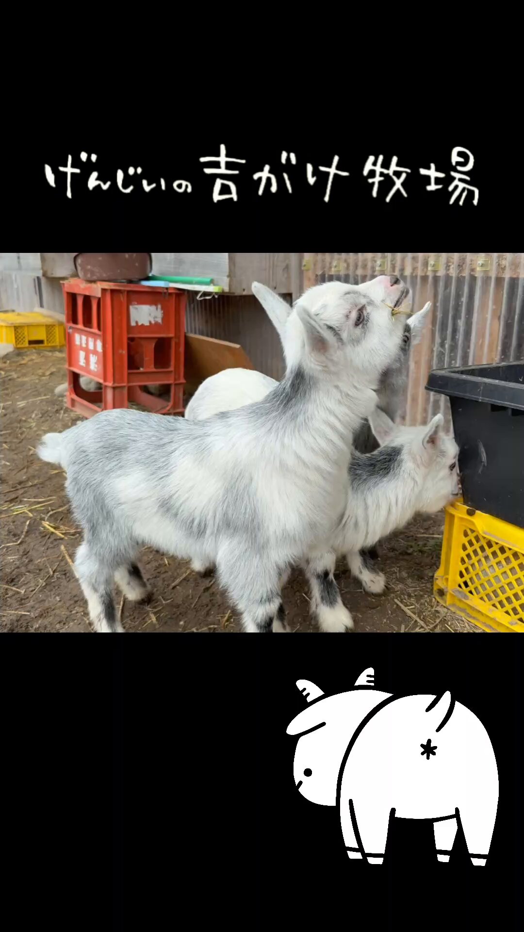 たなかしんこ トリプル・トラブル　三つ子ちゃんが来た！ The day has finally come for the triplets to fight - YouTube