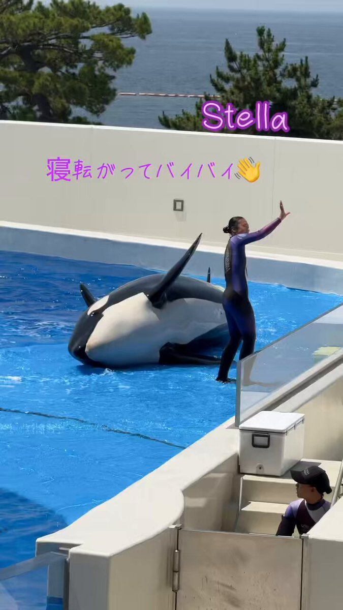 keiko (@keiblack115310) / X