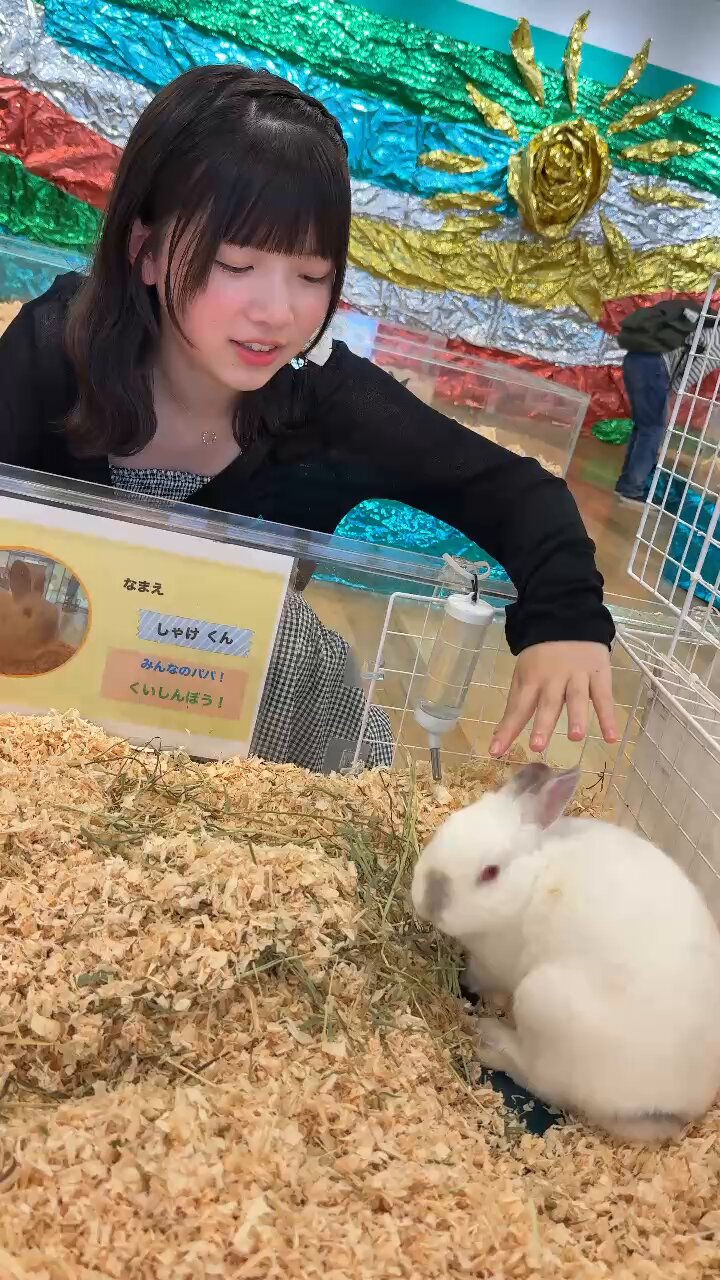 絶対的な信頼 今泉  X: on もか🍙🌷 フラワー・リース