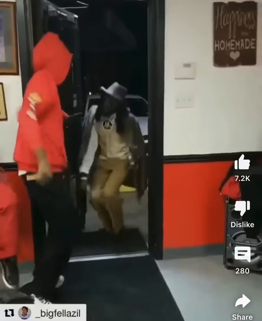 Politi_Rican 🇵🇷 𝕏 🇺🇸 (@TheRicanMemes) on X