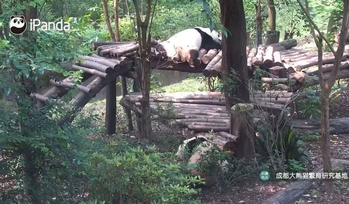 あちな* on X: 