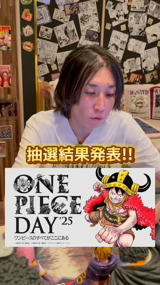 ワンピースデイ　ONE PIECE DAY　推し当たり ワンピースカード】「ONE PIECE DAY'24」来場者特典プロモカード
