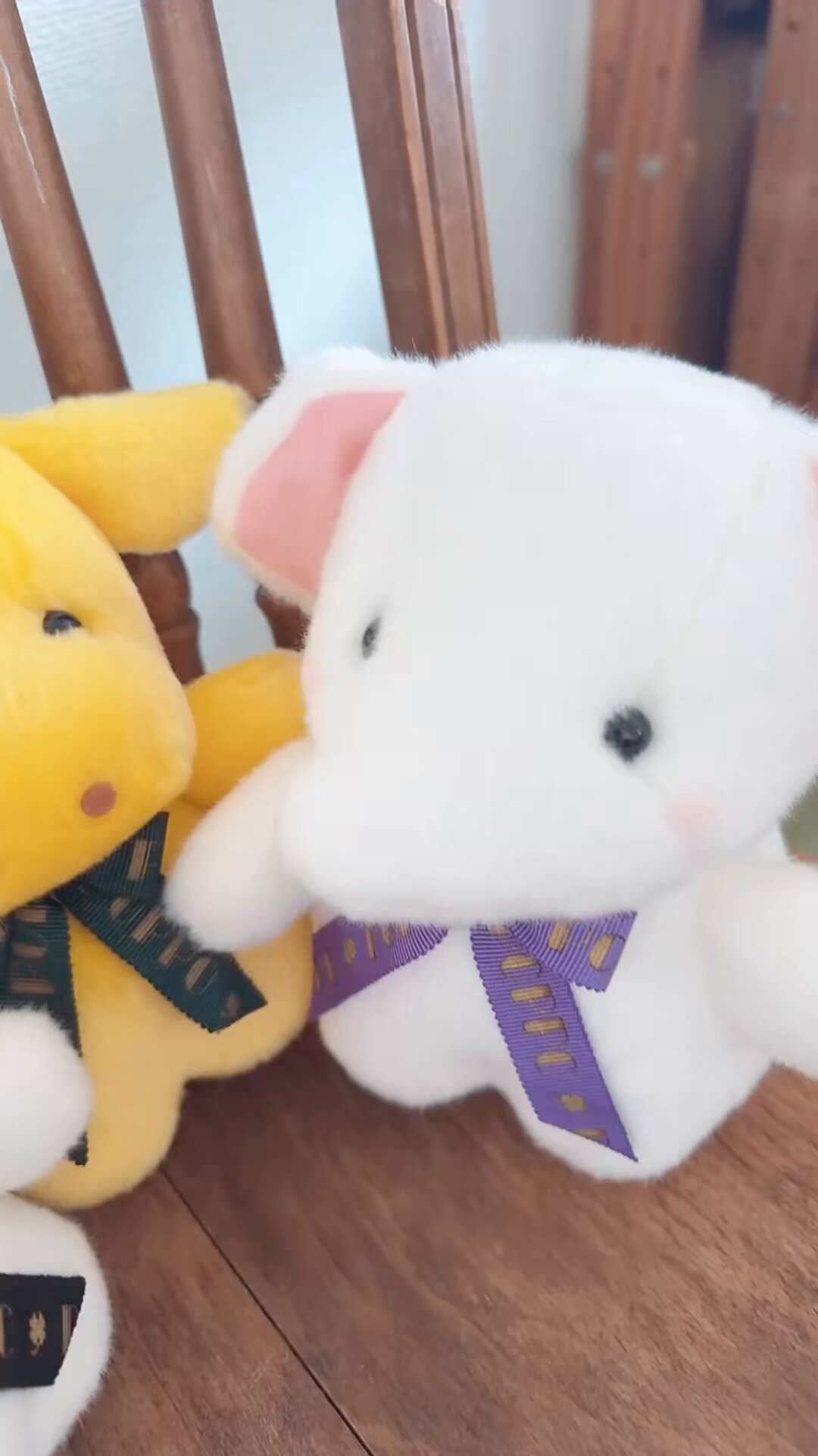 タケノコちゃん専用 タケちゃん監修