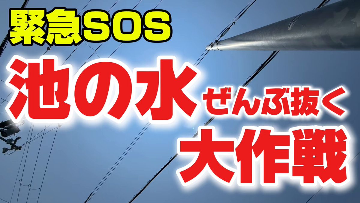 はな✲゜* 花*花 (@lovelyhana23) / X