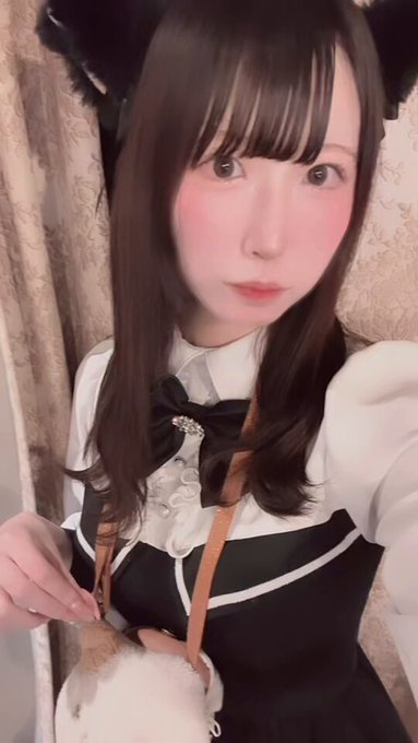清楚な子猫ちゃんのcafe&barみゃおみゃおのツイート