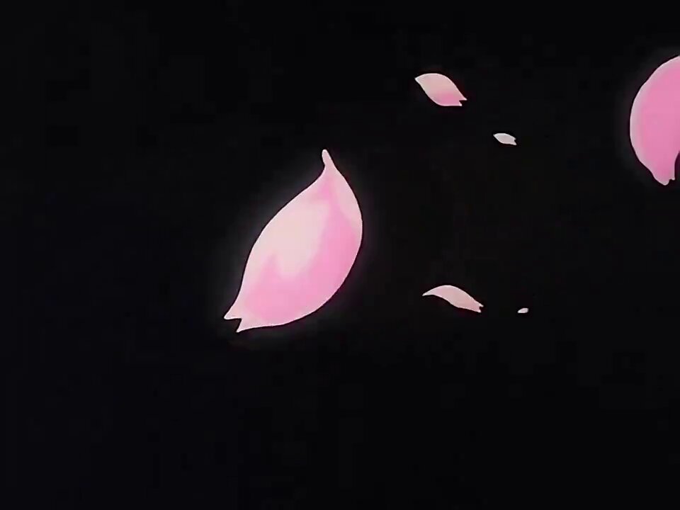 Video oleh @anime8cm