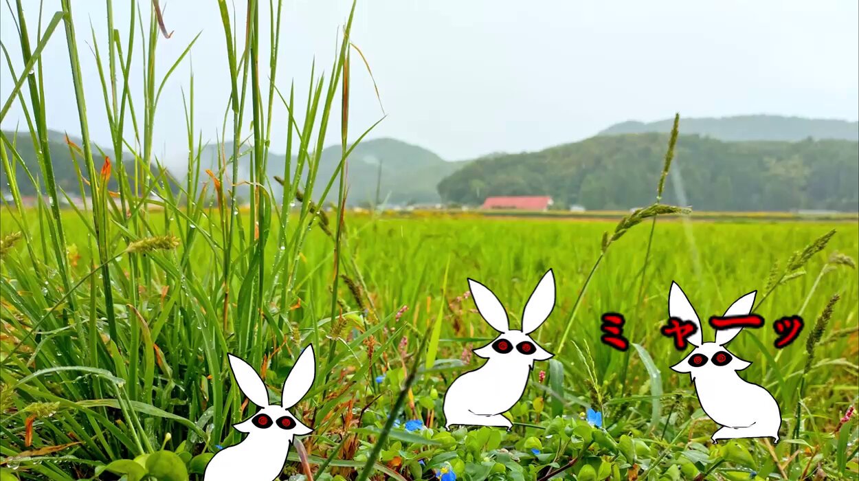 2023年干支ぬいぐるみ「うさぎのしらたま／くろまめ」ISKW-USSK