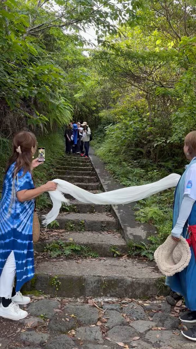 渡具知綾子 祈りの森，風，名護曲 (@ayakotoguchi) / Posts / X