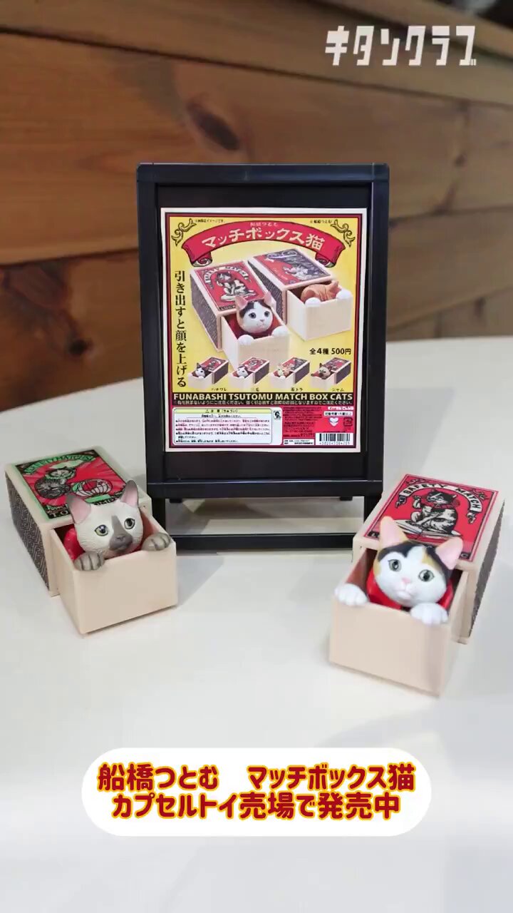 【豪華版】猫ピッチャー 19冊セット Amazon | Bonarca キャットウォーク 【 5点 セット 】 壁付け 猫
