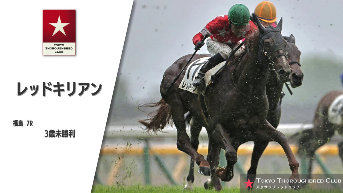 今週の注目新馬】乗り込み入念セイウンダイフク、陣営「2歳戦