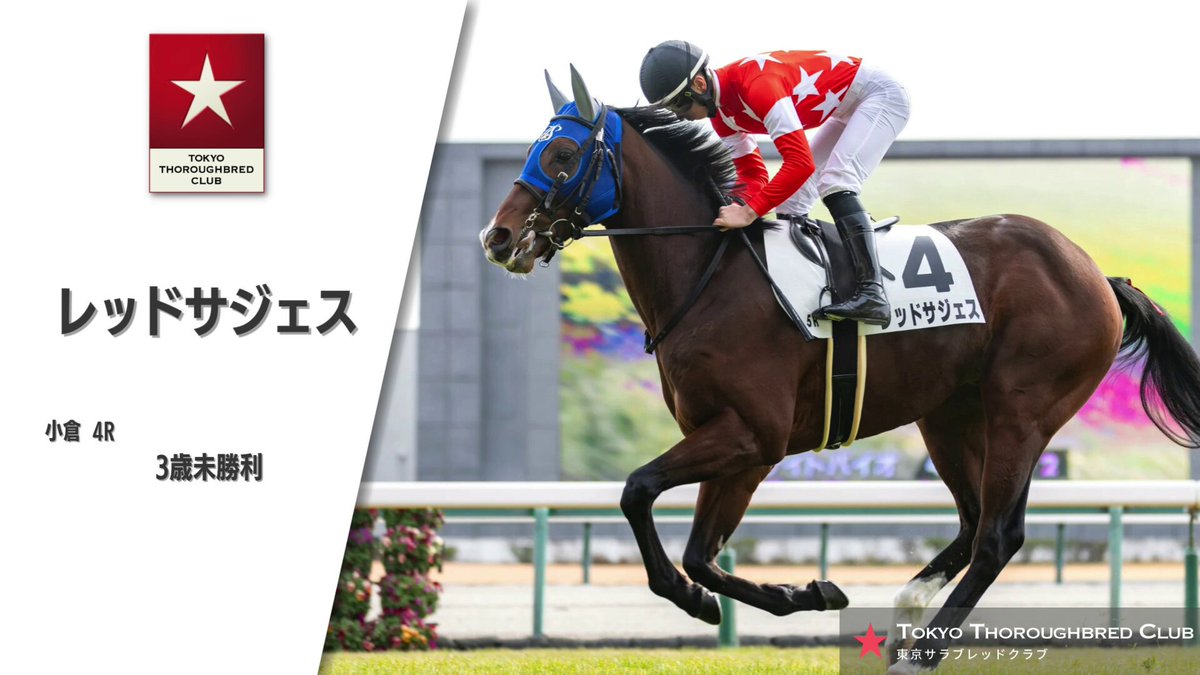 東レ F-NET限定 ソラローム トーナメントキャップ (ブラック／レッド) BLACKLABEL [ブラックレーベル] Vトップ レイヤードセット