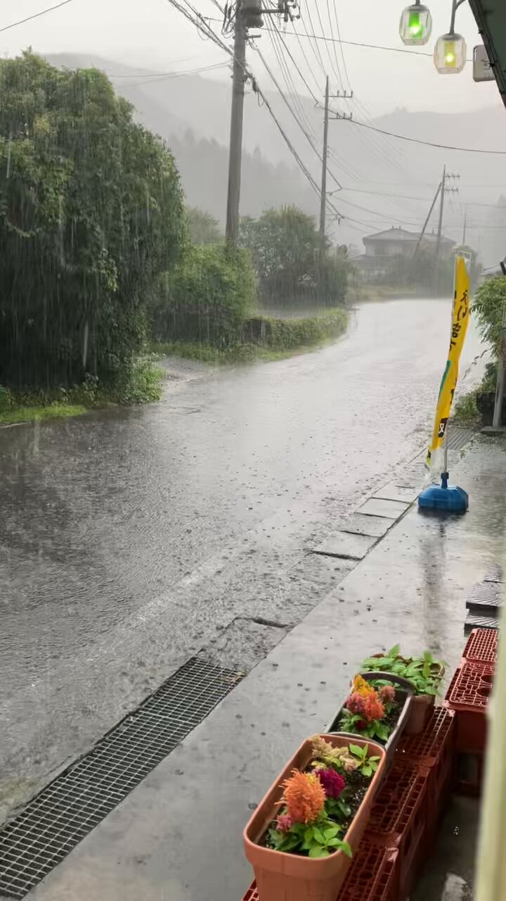 雷様 風神雷神／龍 – SENSUP