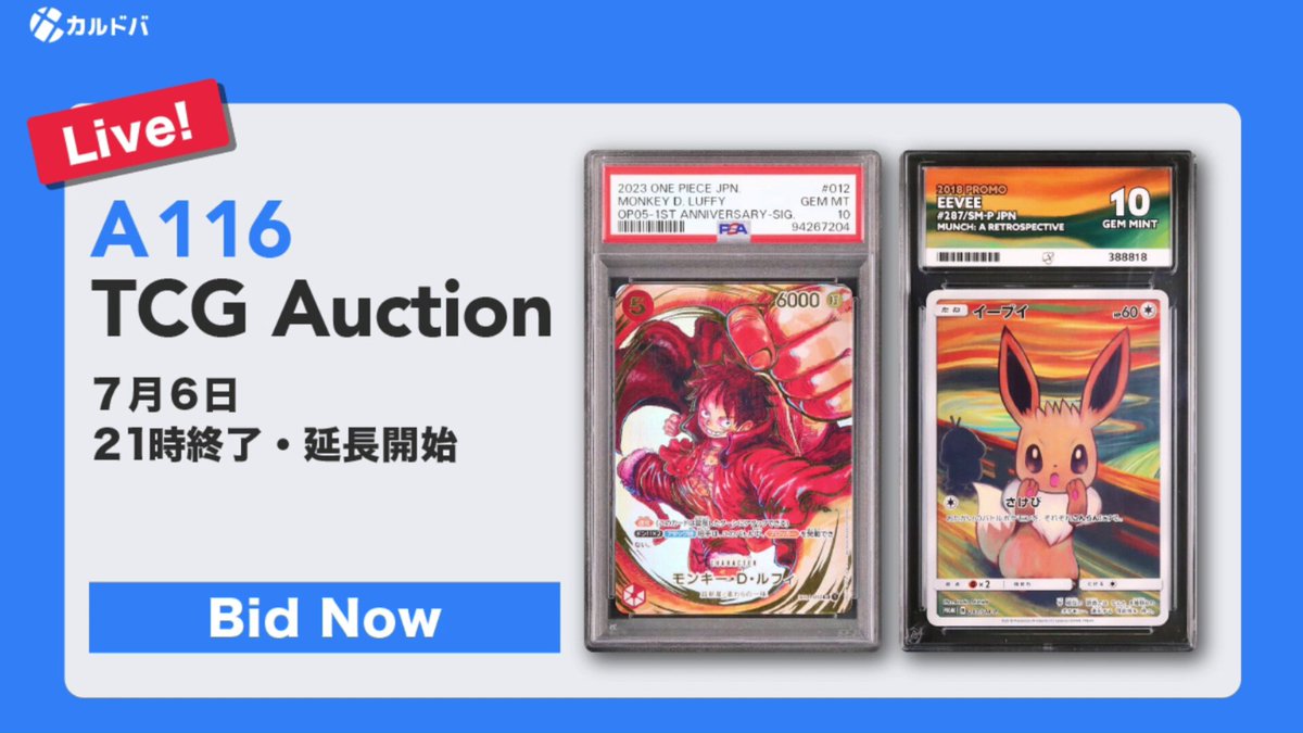 2010年 ドーブル ホロ PSA 10 2010 ドーブル PSA 10 1st エディション - カルドバ