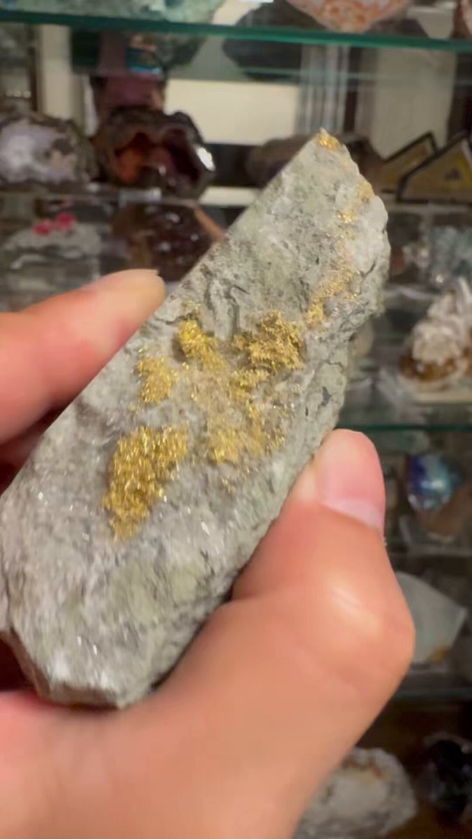 自然金 - Search / X