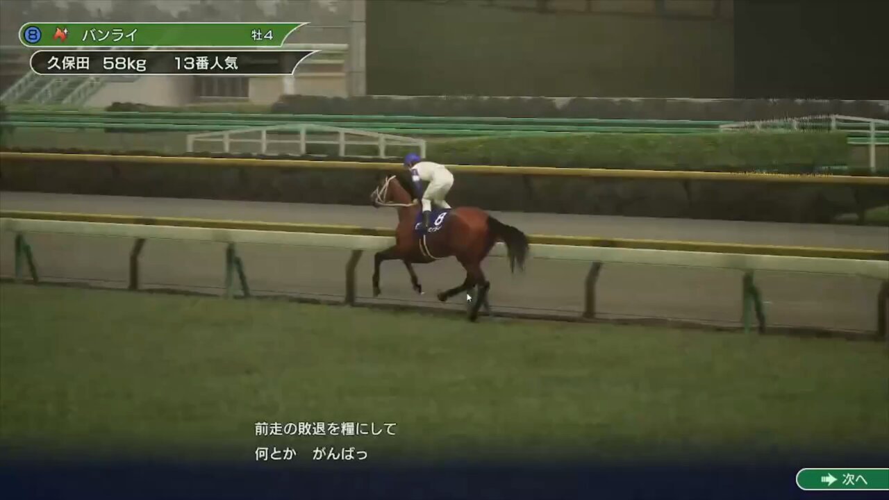 スマブラSP ウイニングポスト2024 ダービースタリオン ポケダン パッケ無し ウイニングポスト10・2024 シンザンで世界を制す！SP庭