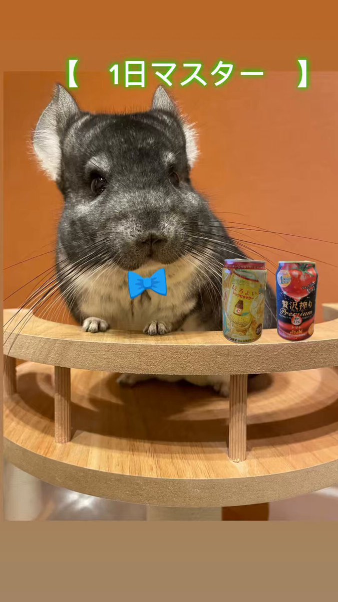 sさま　チンチラちゃん　専用のおやつ ちぃさま チンチラちゃん専用のおやつ