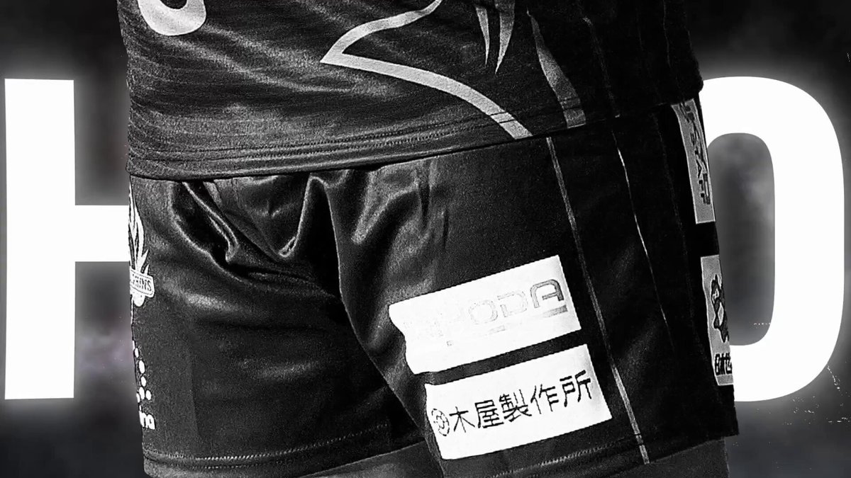 日野自動車レッドドルフィンズ セット 日野レッドドルフィンズ オフィシャルサイト