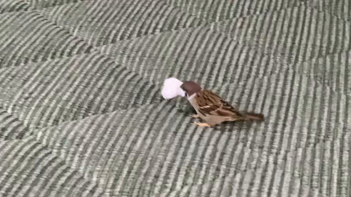 ぺっぺ☆彡ページです♡ いくじなしベストフレンド / りょうver.💚🏫