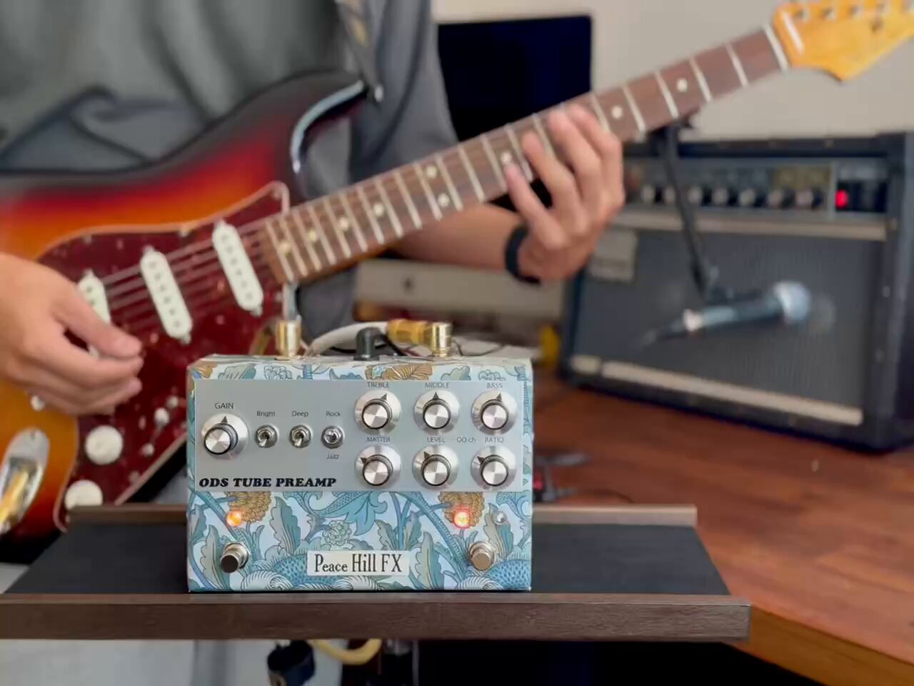 超初期物！シリアル一桁前半 Peace Hill FX ギターチューブプリアンプ 2025年最新】Peace hill fxの人気アイテム - メルカリ