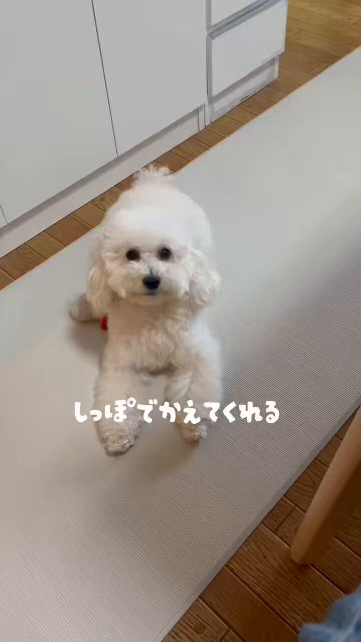 ♡ポコちゃん♡様☆専用ページ②です✩.*˚ 🖤