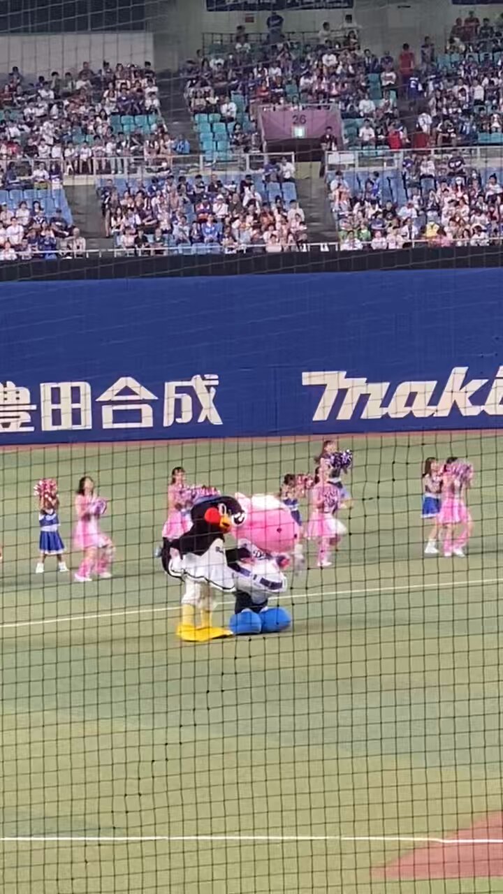 マリモページ 88/D