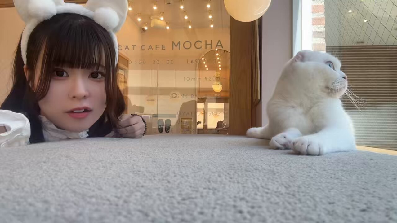 はる🐈0525@ビジュラム東京 (@bjlmakb_haru) / X
