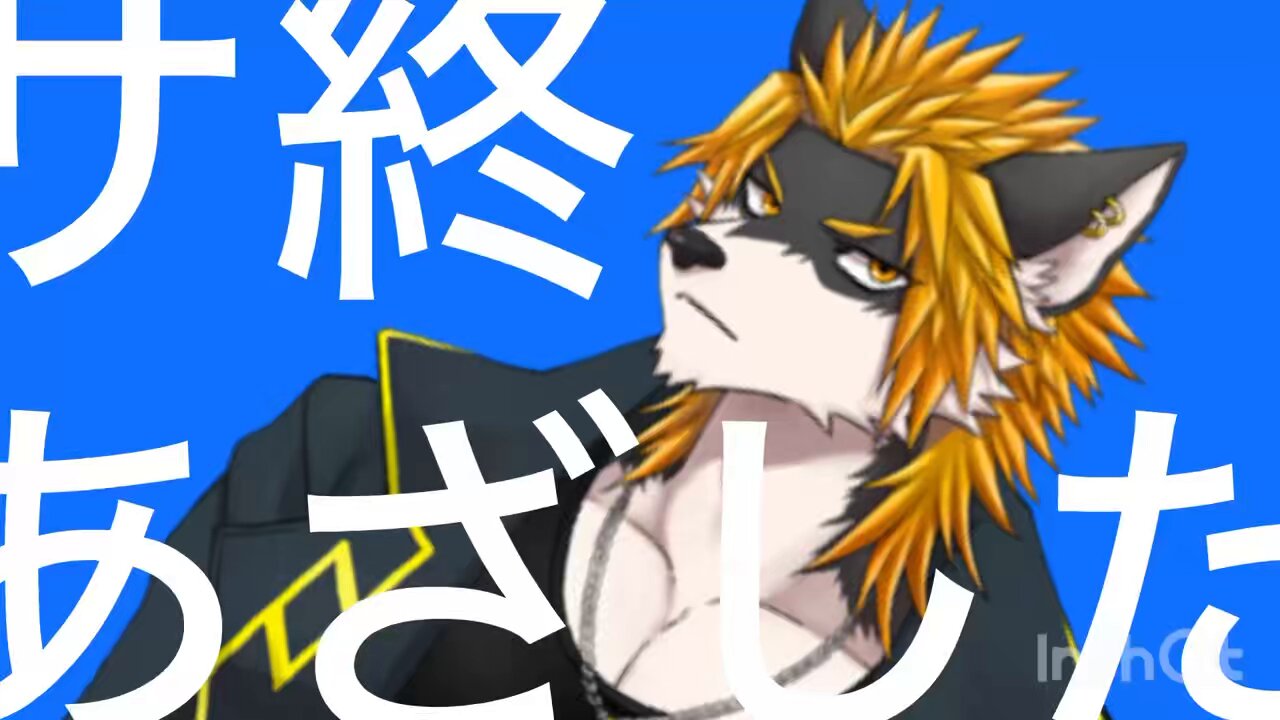 イトキヨピページ♡ イソヒヨドリ 少し離れた防波堤にオスもいました