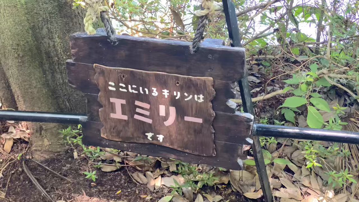 まみい on X: 
