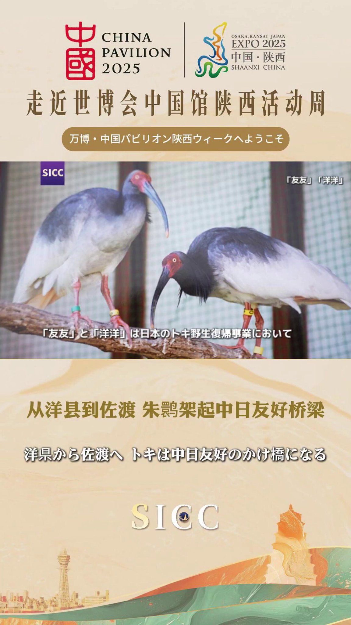 中国の博物館 第２期１/講談社（大型本） 中華人民共和国駐日本国大使館 on X: 