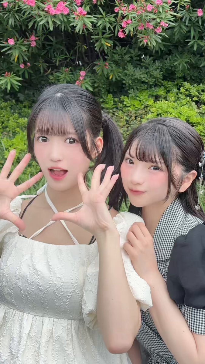 今日のマドンナ!みたー?