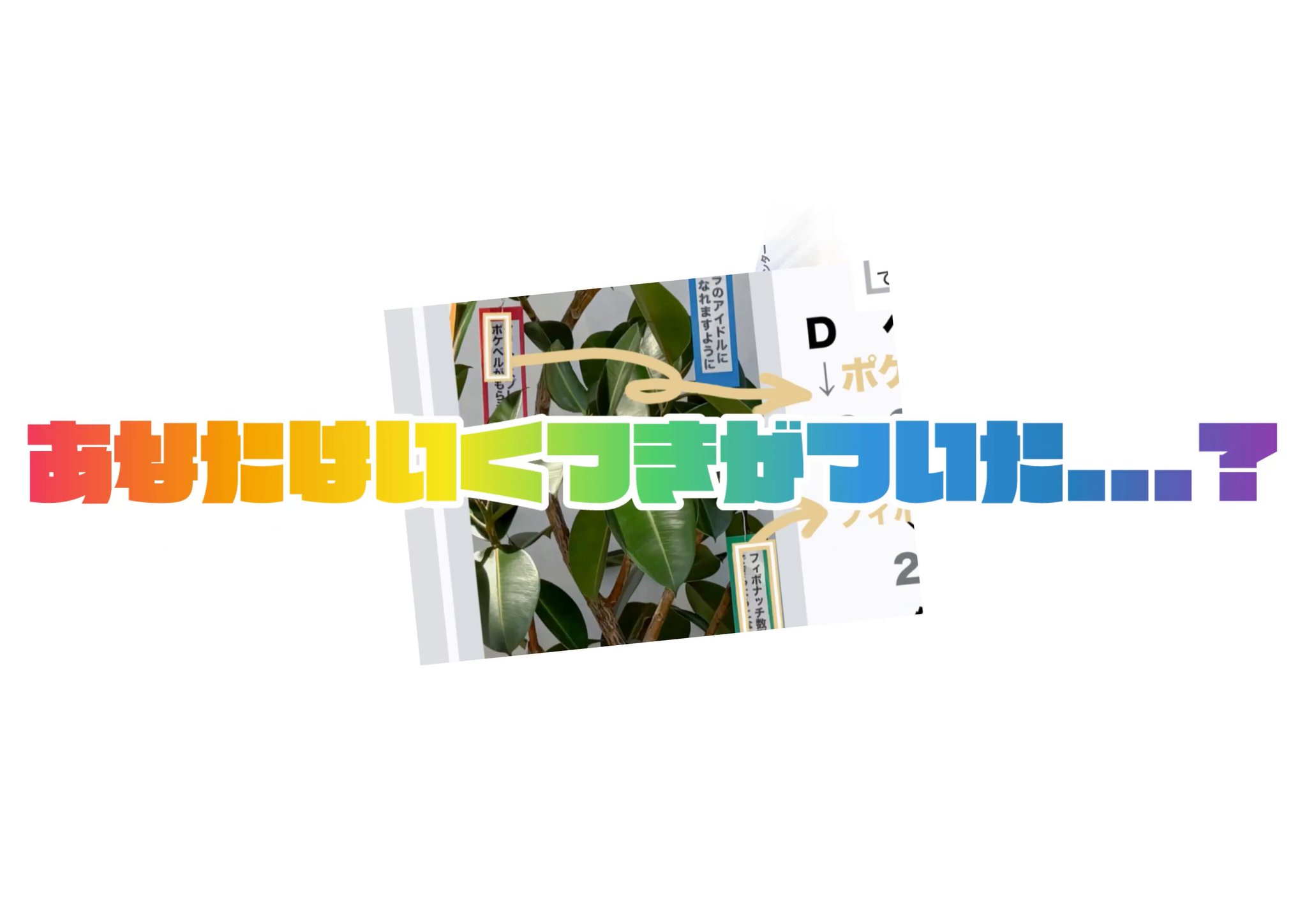ジュニア公式 on X: 